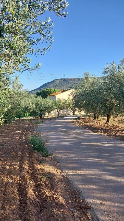 Casa Rural Cal Marti El Pla de Manlleu Екстер'єр фото