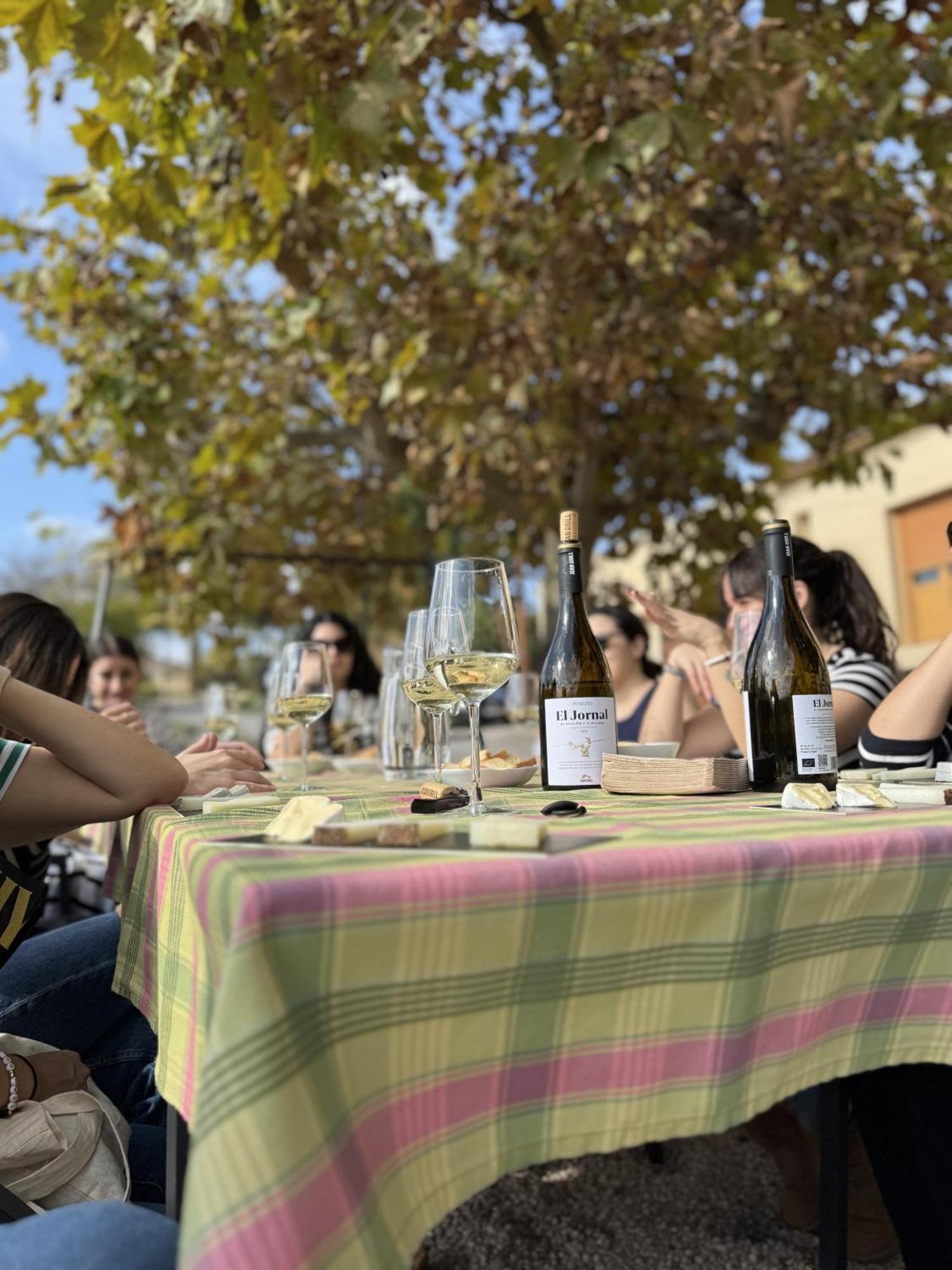 Casa Rural Cal Marti El Pla de Manlleu Екстер'єр фото